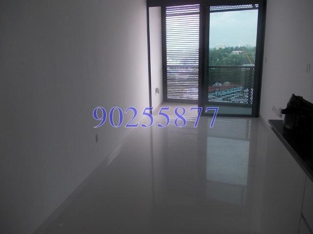 Robin Suites (D10), Apartment #119907062